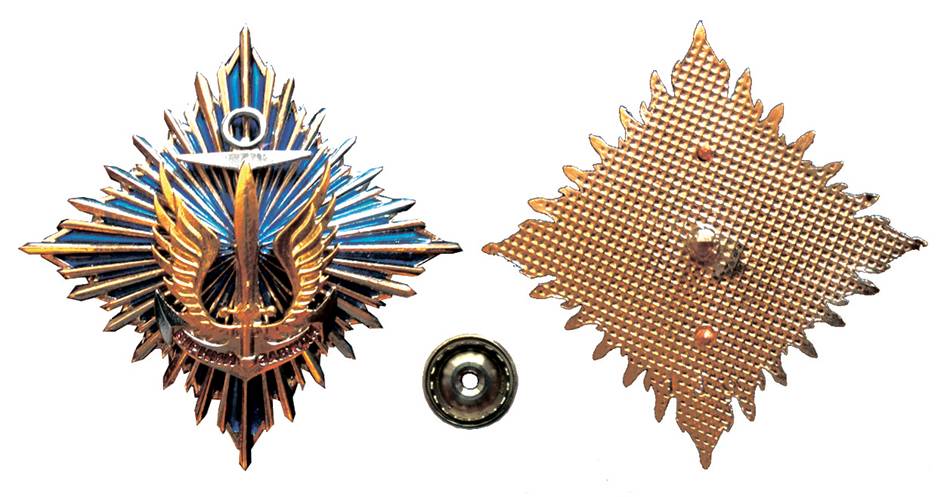 Відзнака громадської організації «Спілка морських офіцерів України» - орден «За службу».