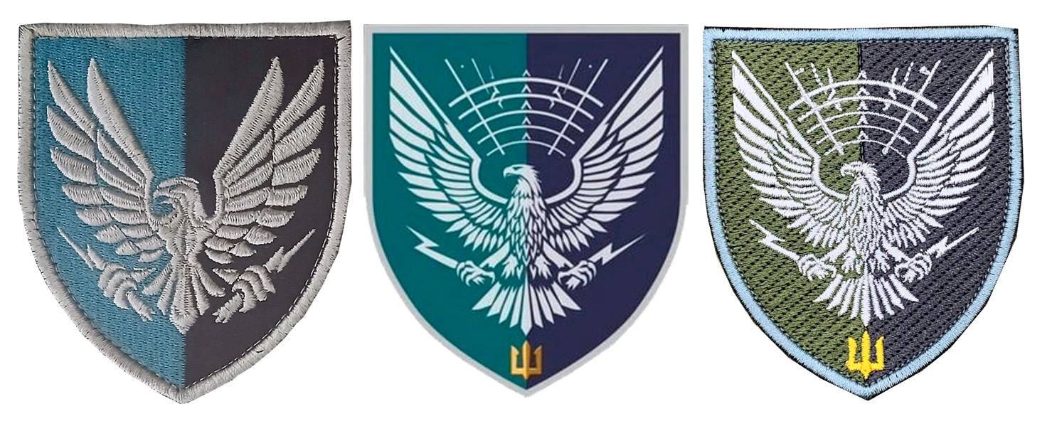 Нарукавні емблеми (знаки) 310 окремого батальйону радіоелектронної боротьби морської піхоти